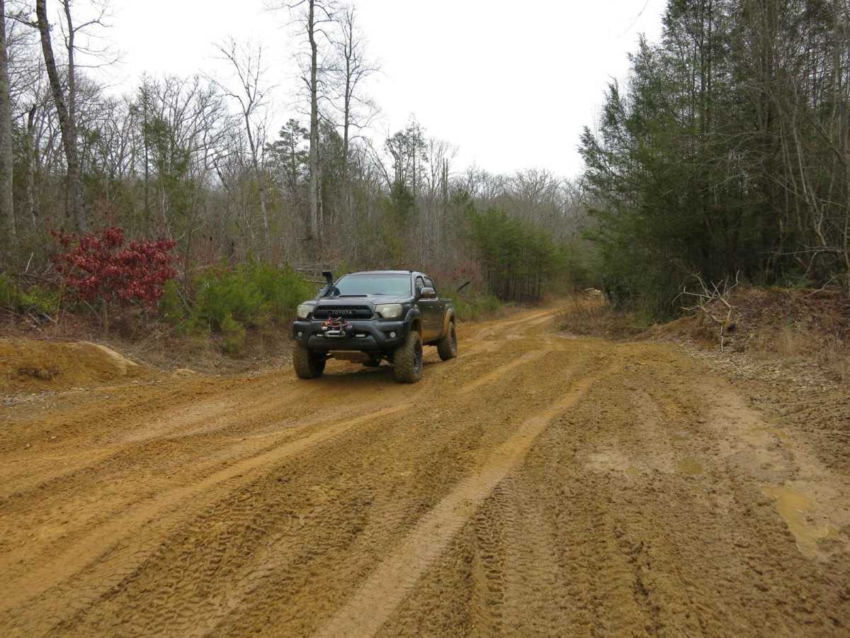 Trail 13 - Lee Asbury Road trail photo