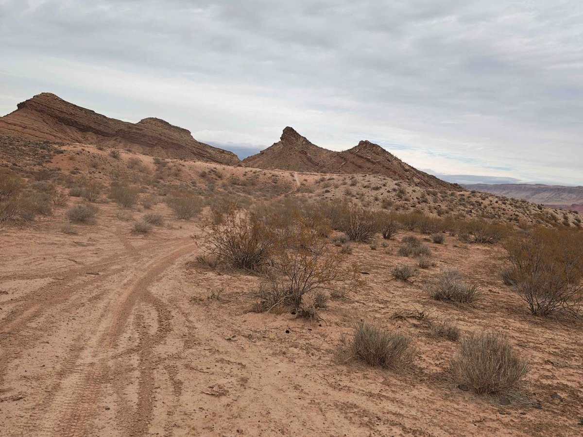 Side Trip - Single Track trail photo