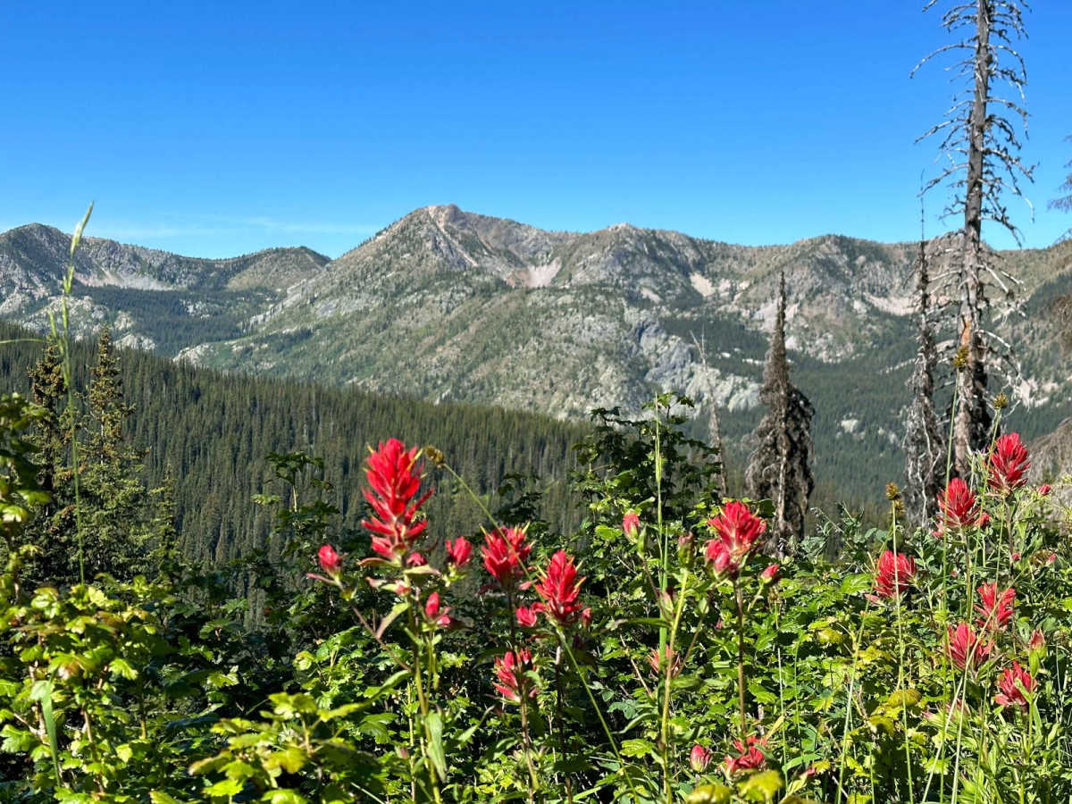 Salmo Lookout trail photo