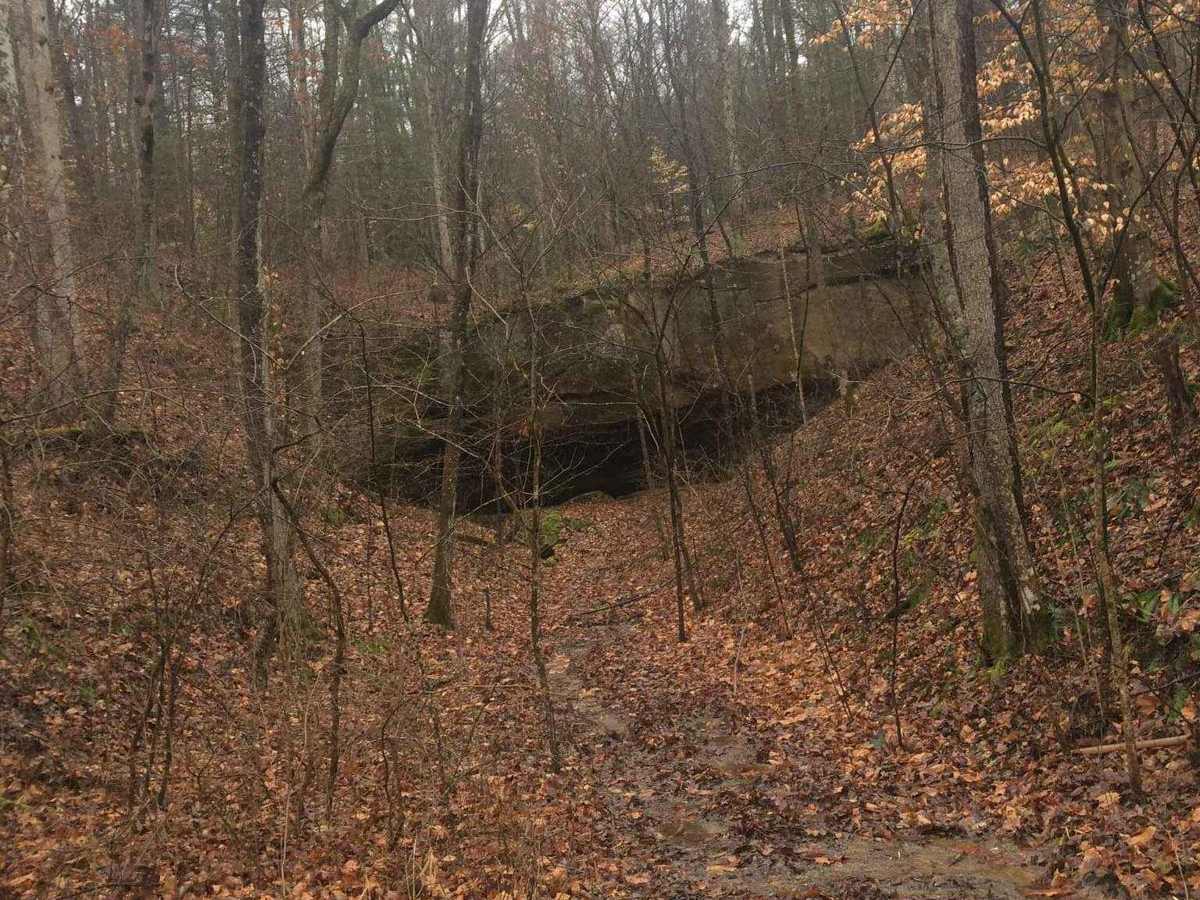 Township 269 photo 6