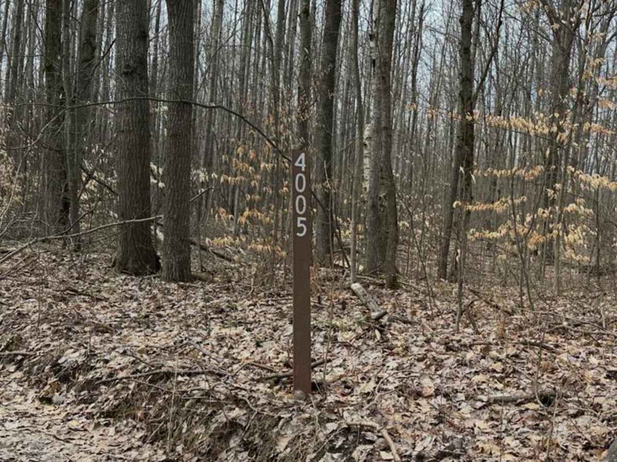 FS 4005 trail photo