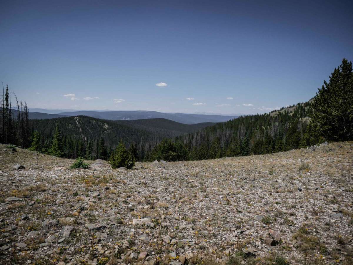 Monarch Crest photo 6