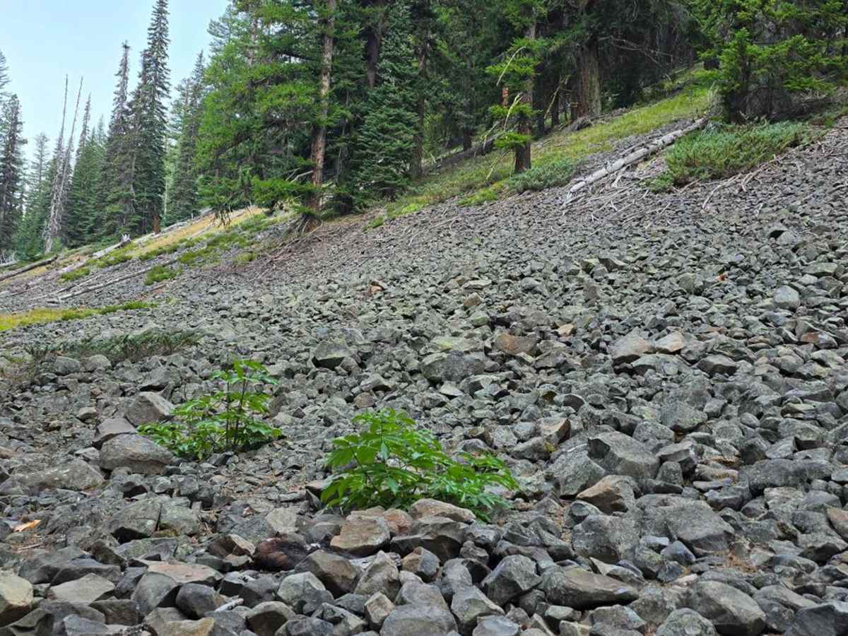 Lost Lake photo 4