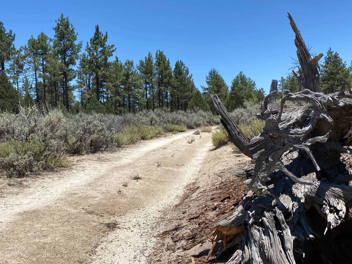 Rancho San Luis Road photo 6