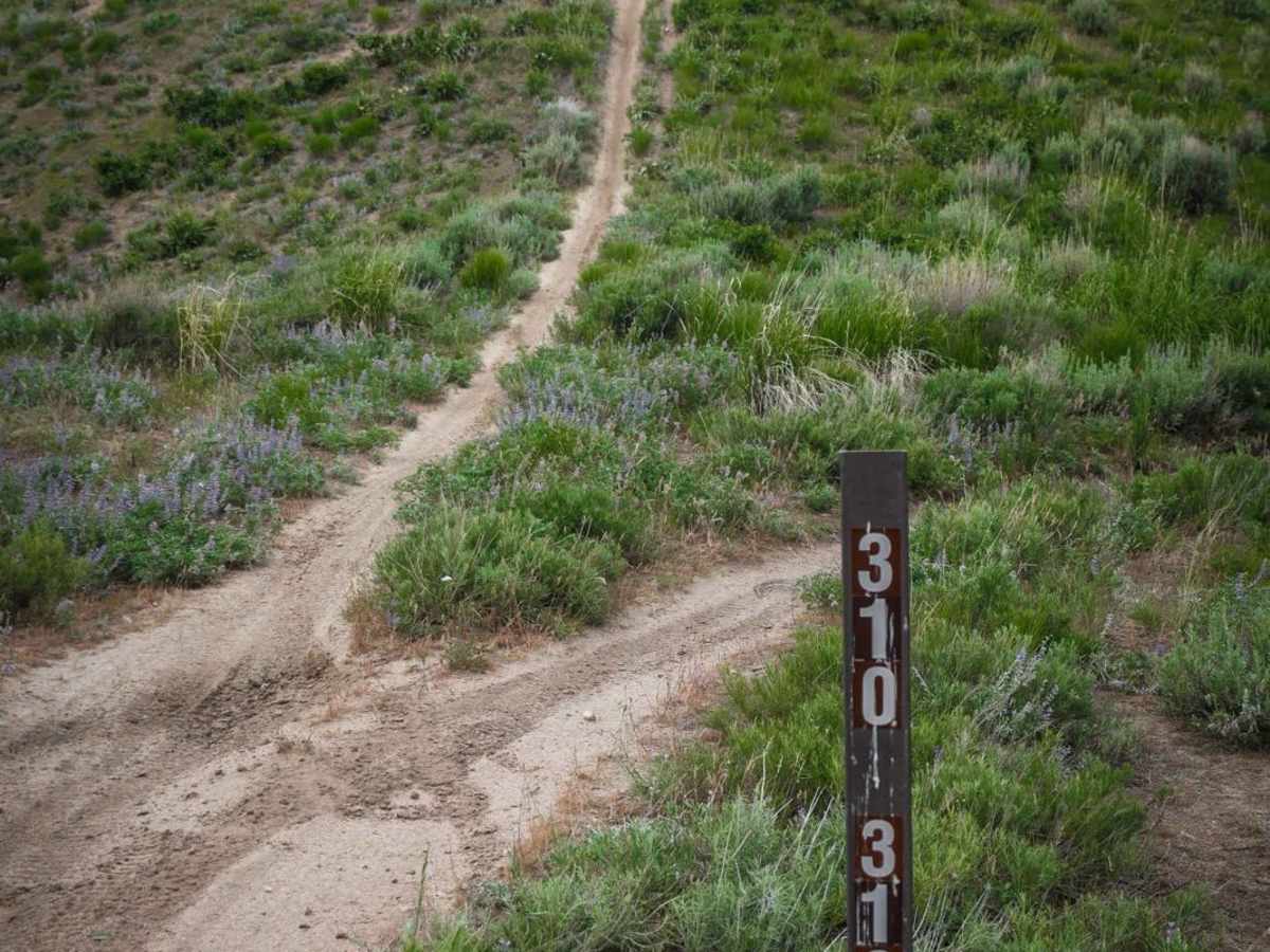 312 trail photo