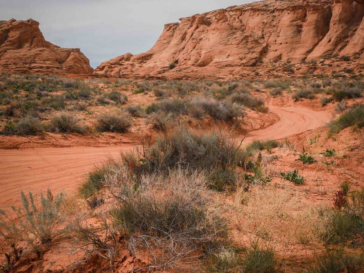 Page Trail trail photo