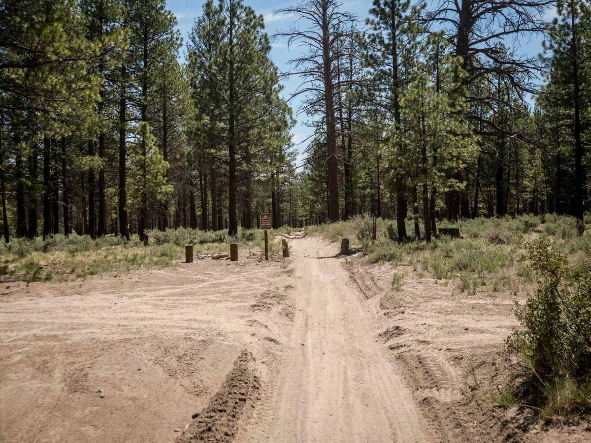 41 trail photo