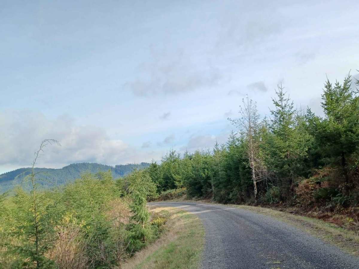 Hiack trail photo