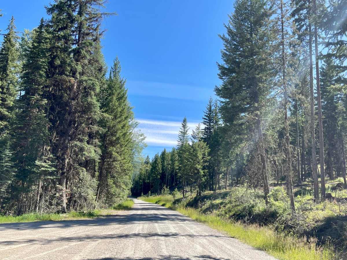 Wild Bill Creek photo 5
