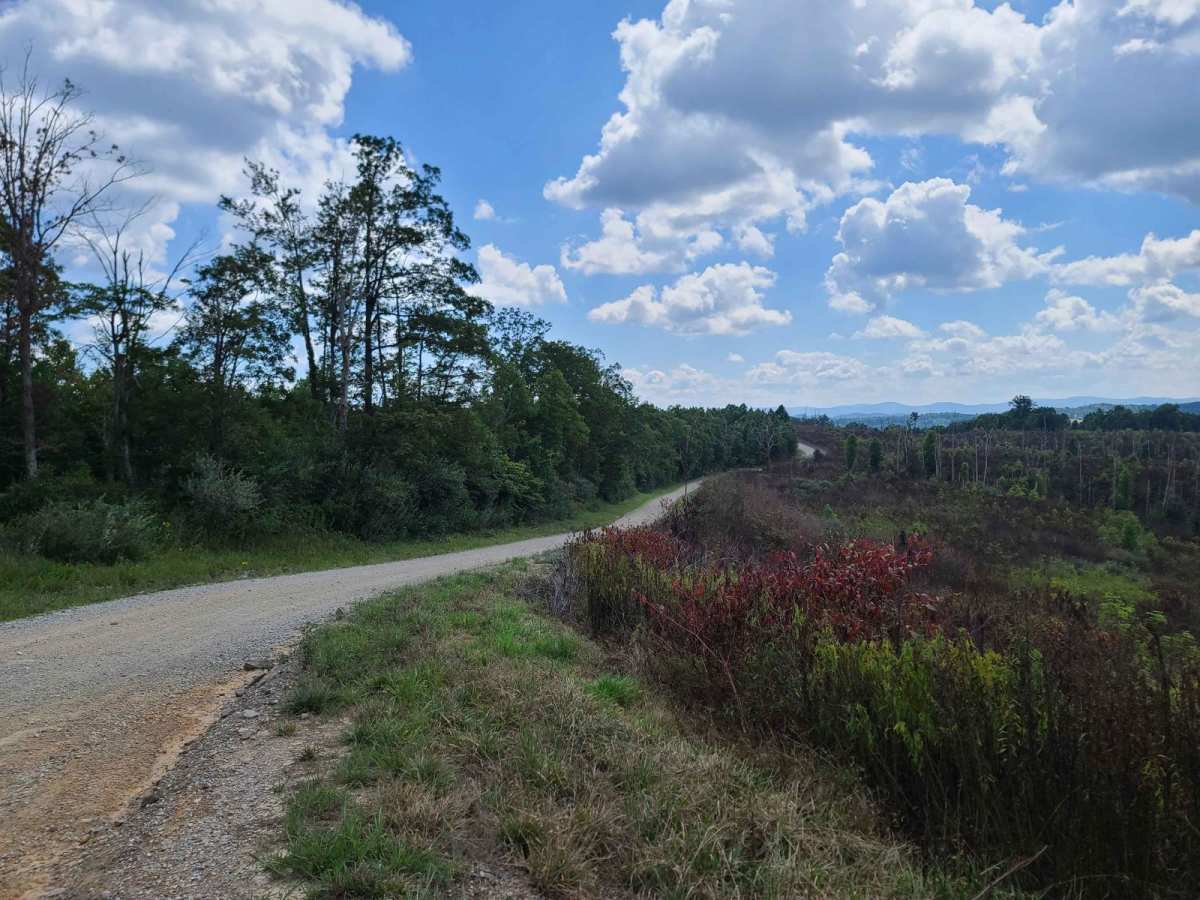 Elk Viewing Tower Road - Trail 25 photo 4