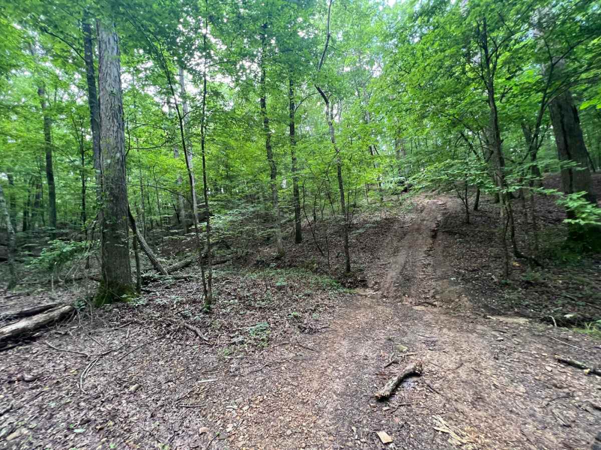 Turkey Bay OHV 7209 photo 3