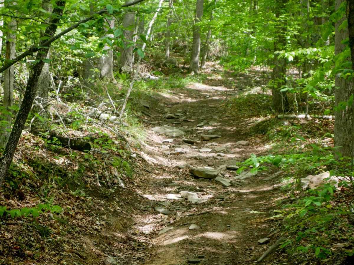 Trail 6 photo 2