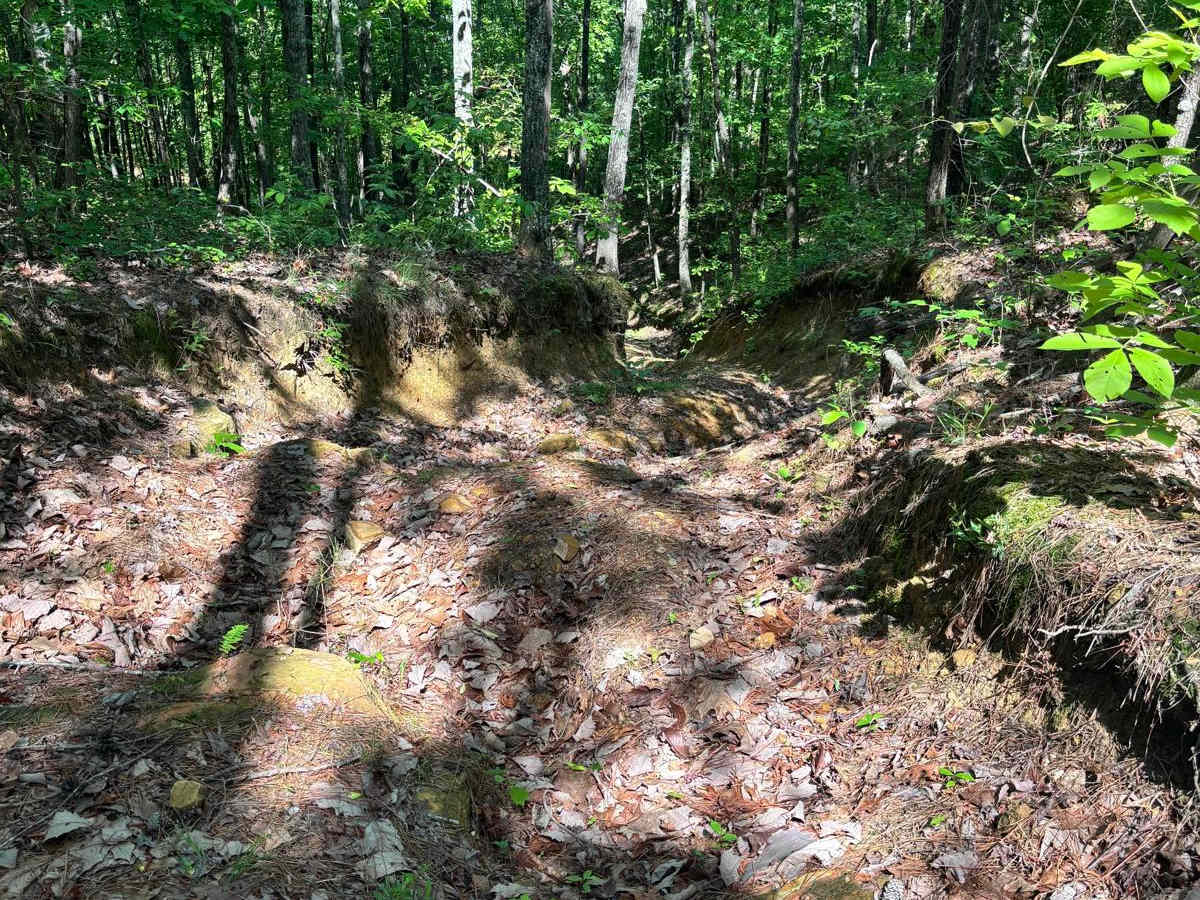 Termulis trail photo
