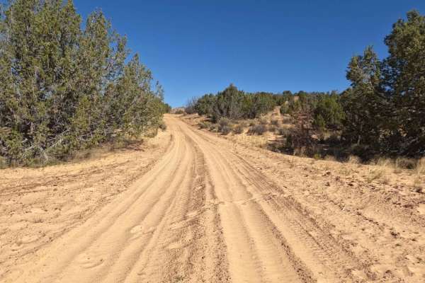 Nephi Pasture Road