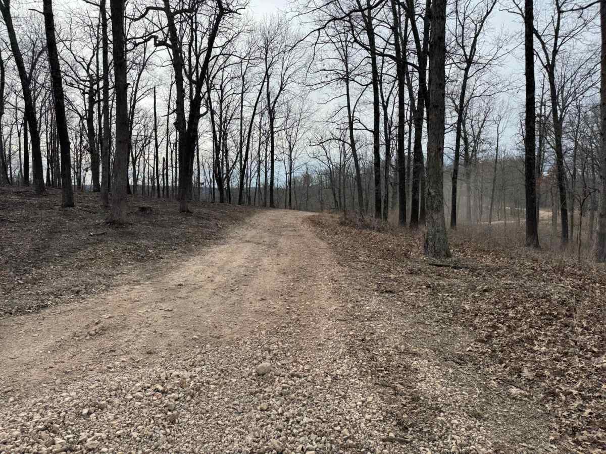 FSR 912 trail photo