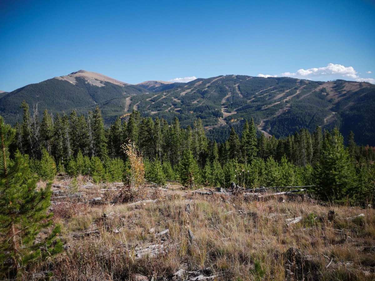 Knobby trail photo