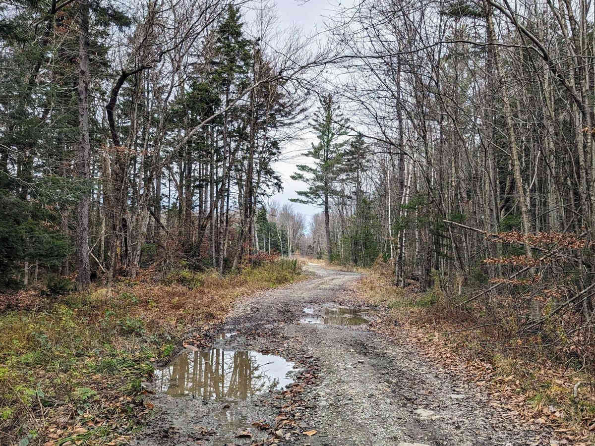 Schaeffer Road photo 6