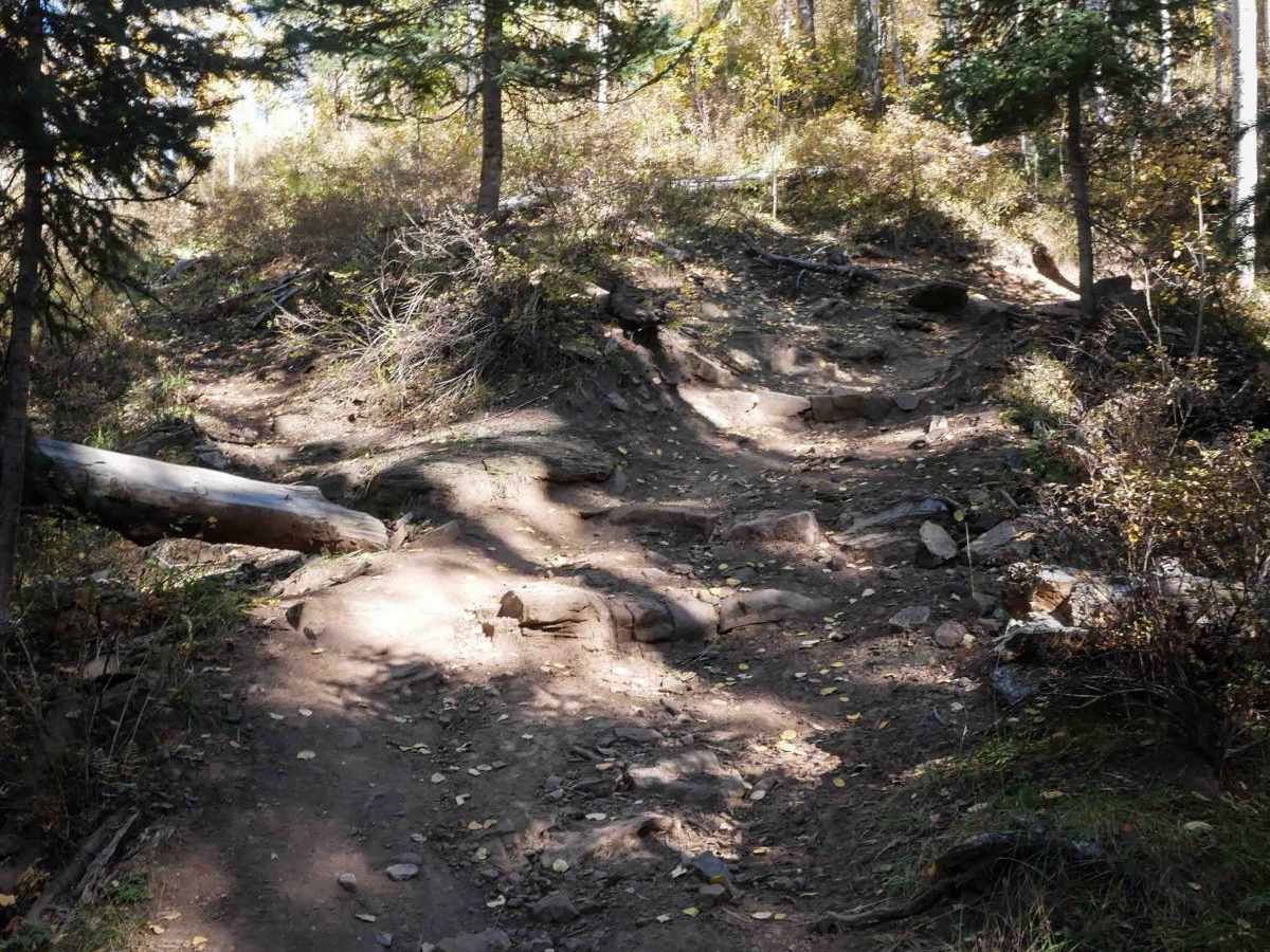 Jones Creek photo 2