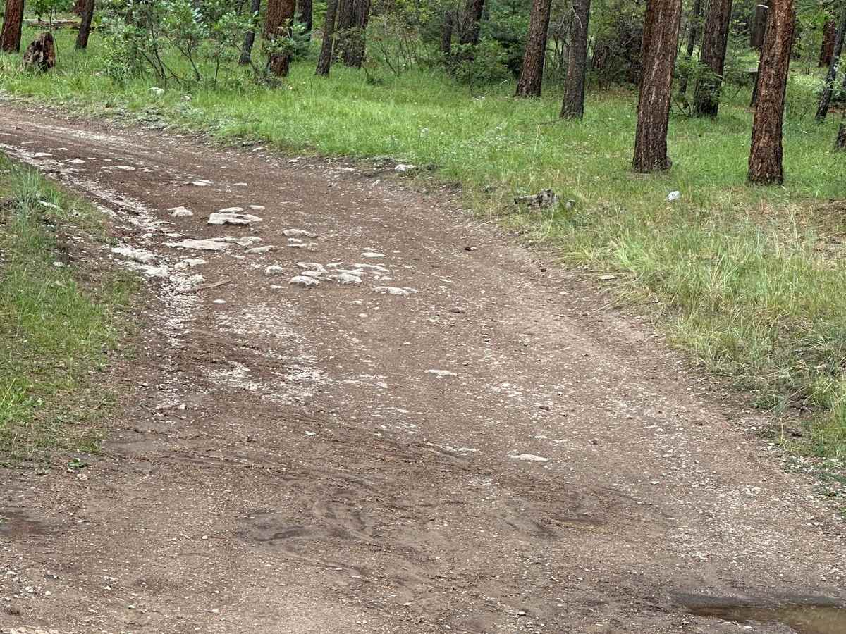 Mudhole Mania - FR 69C photo 5