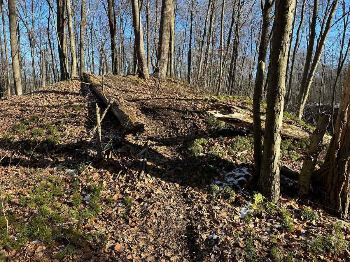 Locust Gap Single Track 1 photo 4