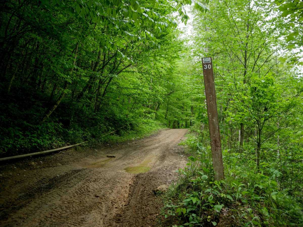 RH 30 trail photo