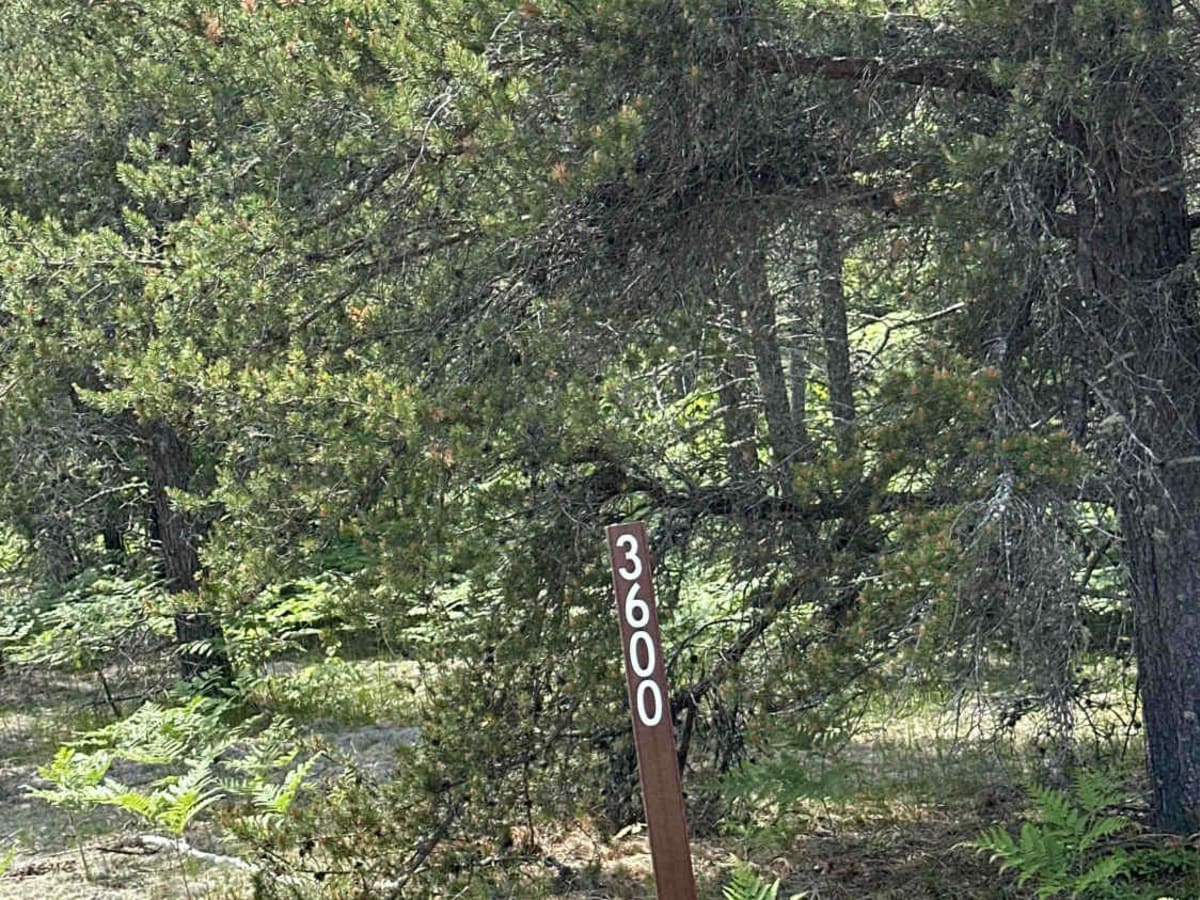FS 3600 trail photo