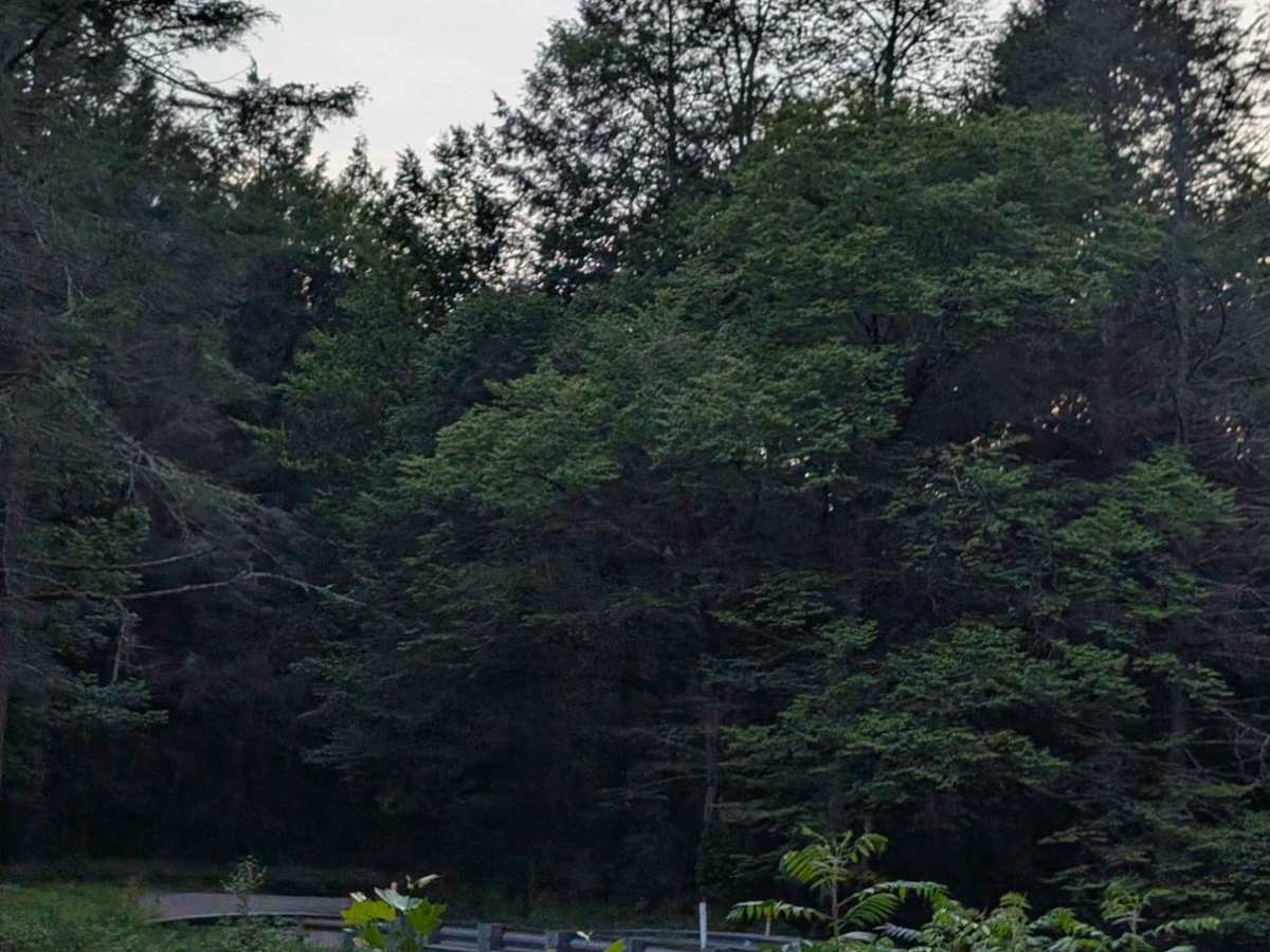 Hoagland Branch Road photo 4
