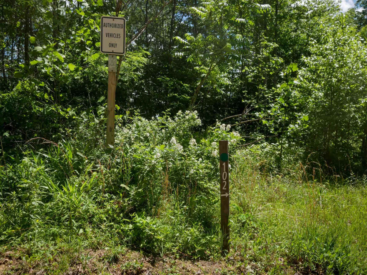 CC102 photo 3