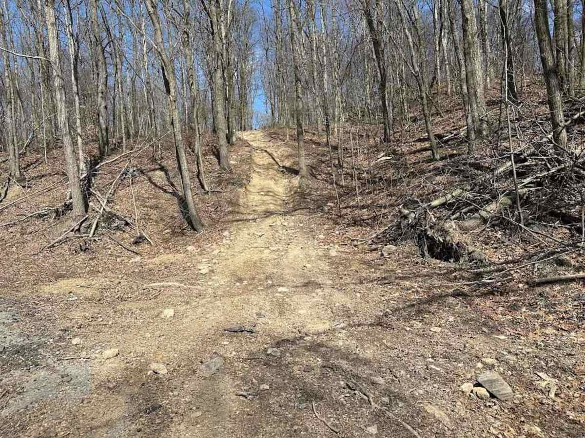 Ashland 148 photo 3