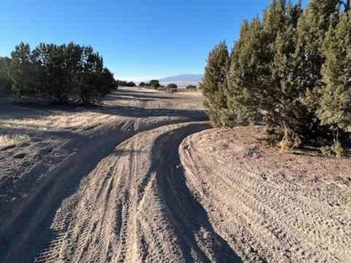 The Back 9 Turn Track photo 5