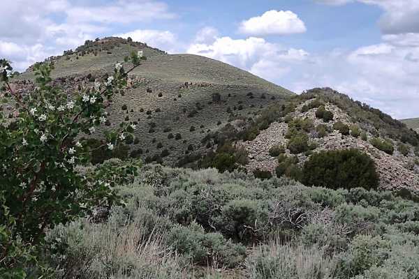 Monroe Road Cut-Across (FS #41204/BLM #5162)
