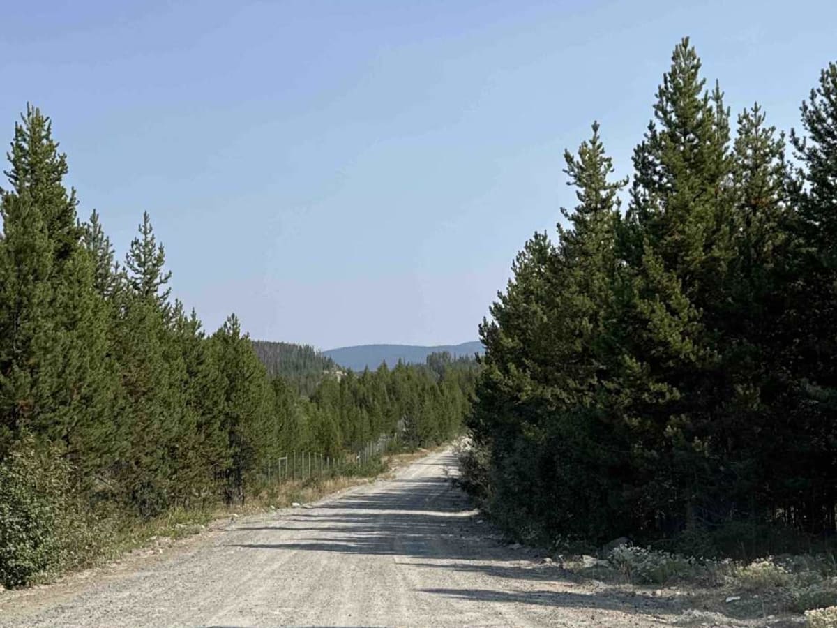 Bear Lake Main FSR photo 3