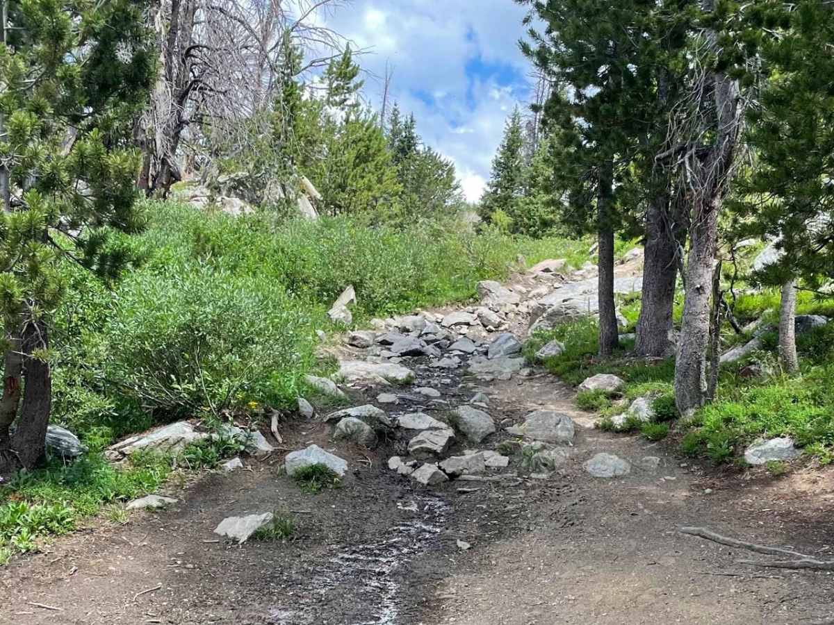 Granite Lake Trail photo 4