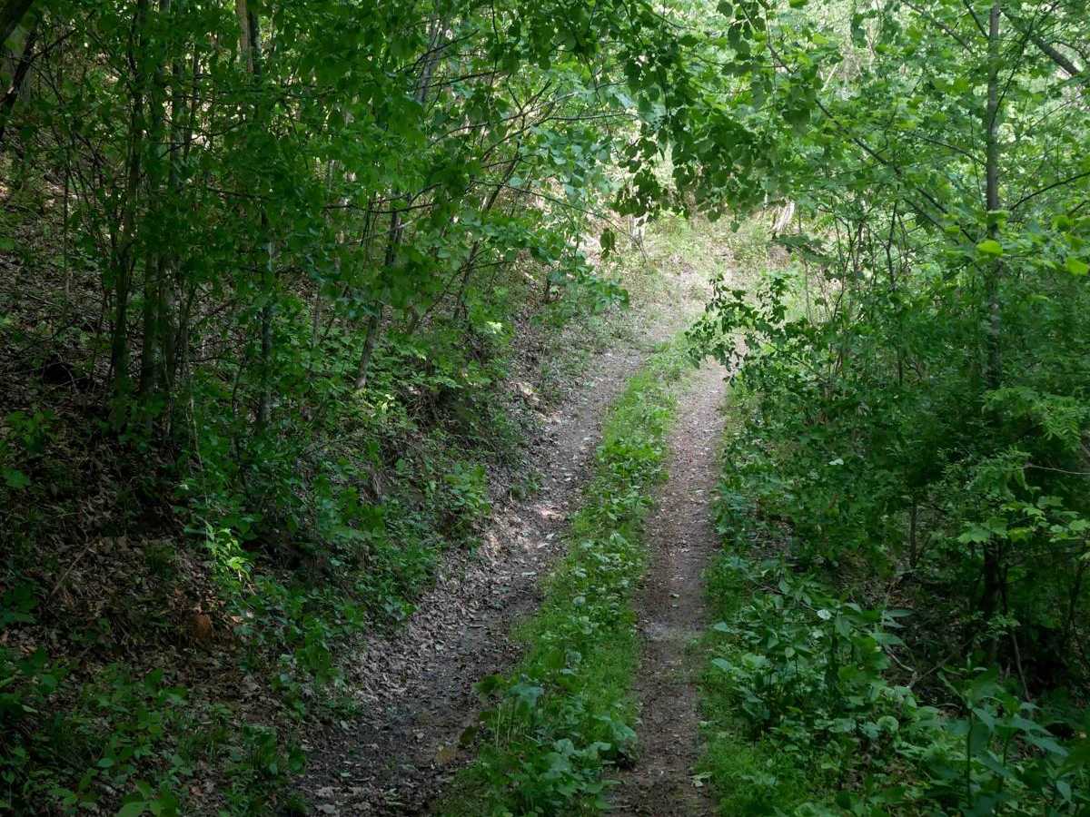 RV29 photo 4