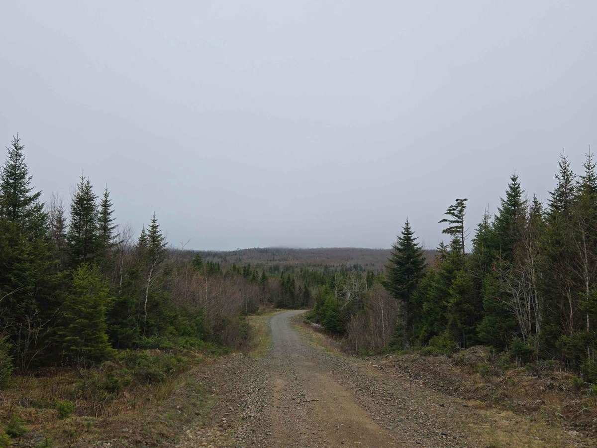 Totten Meadow Trail photo 3