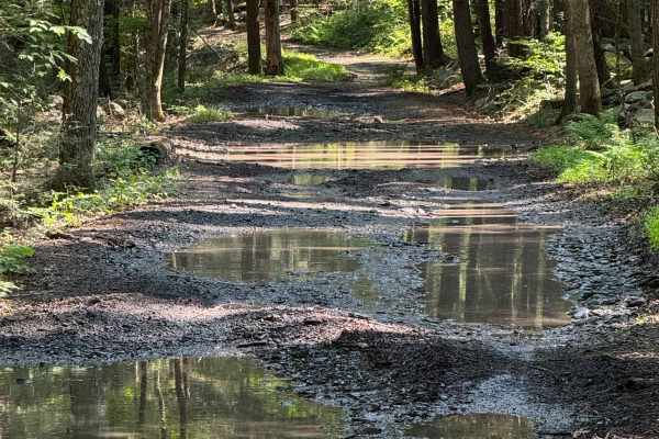 Lundy Road