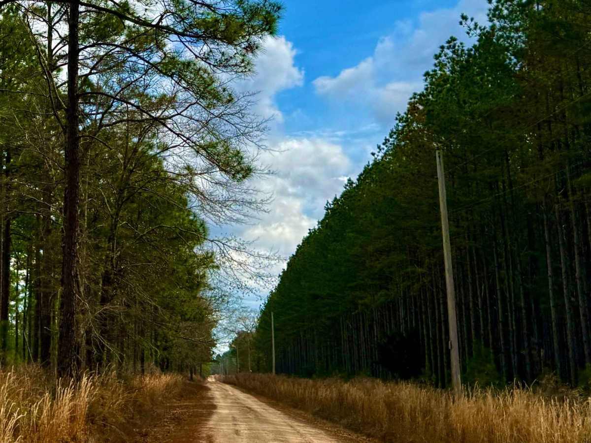Run for the Border trail photo