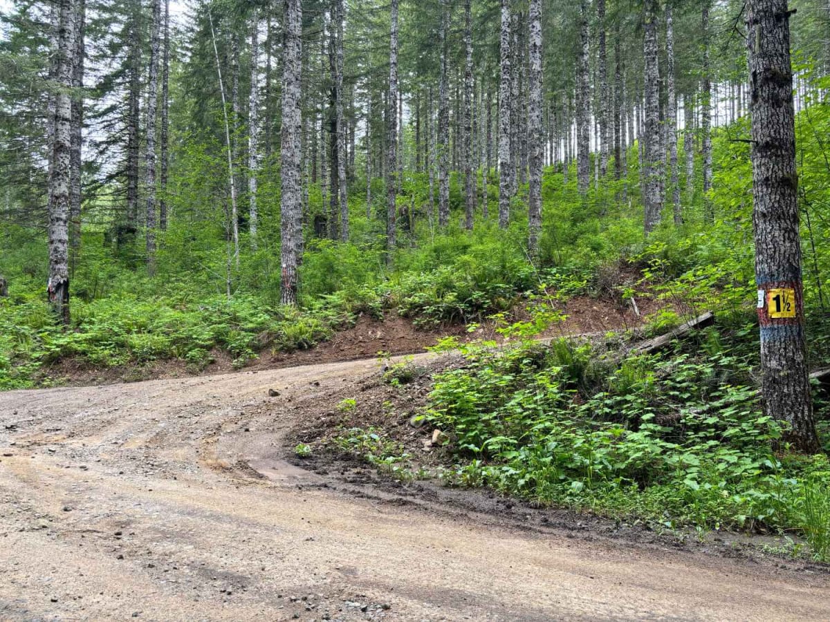 Dovre Peak to Tahoe Lake photo 6