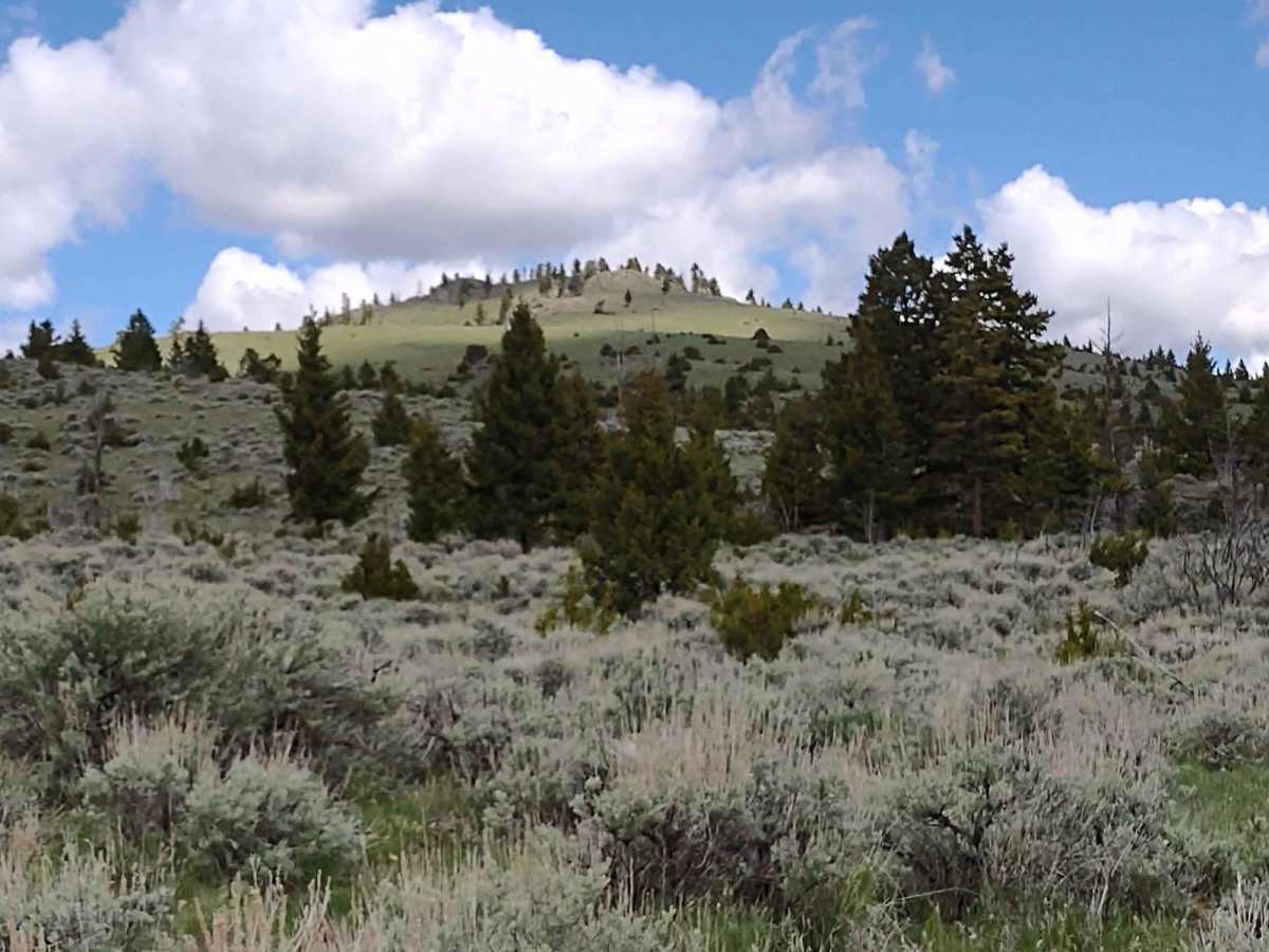 Cold Springs Road photo 3