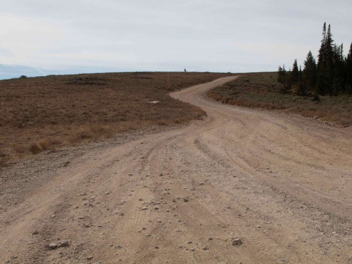 Curtis Creek Road (FR059) photo 2