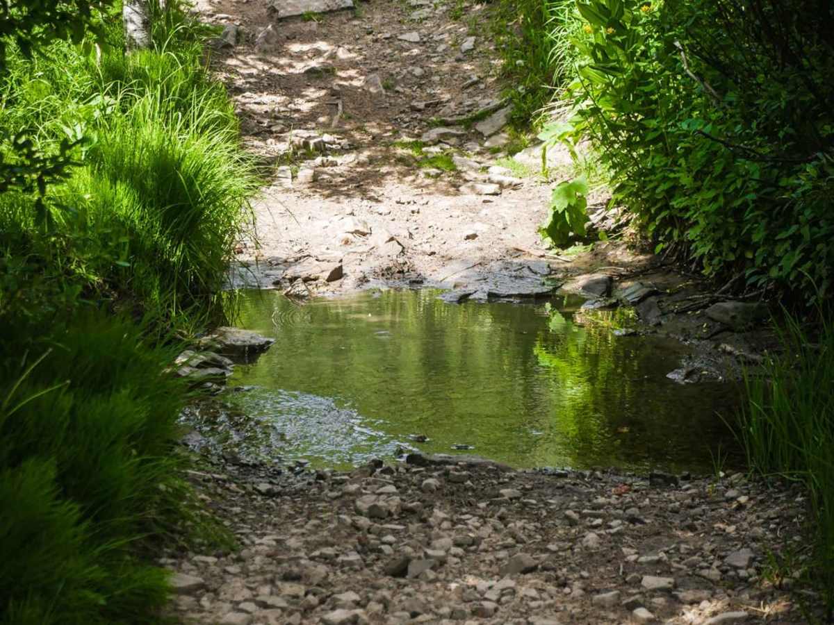 Farwell Mountain ATV Trail photo 4