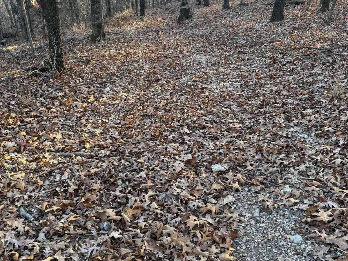 Yellow 267 photo 6