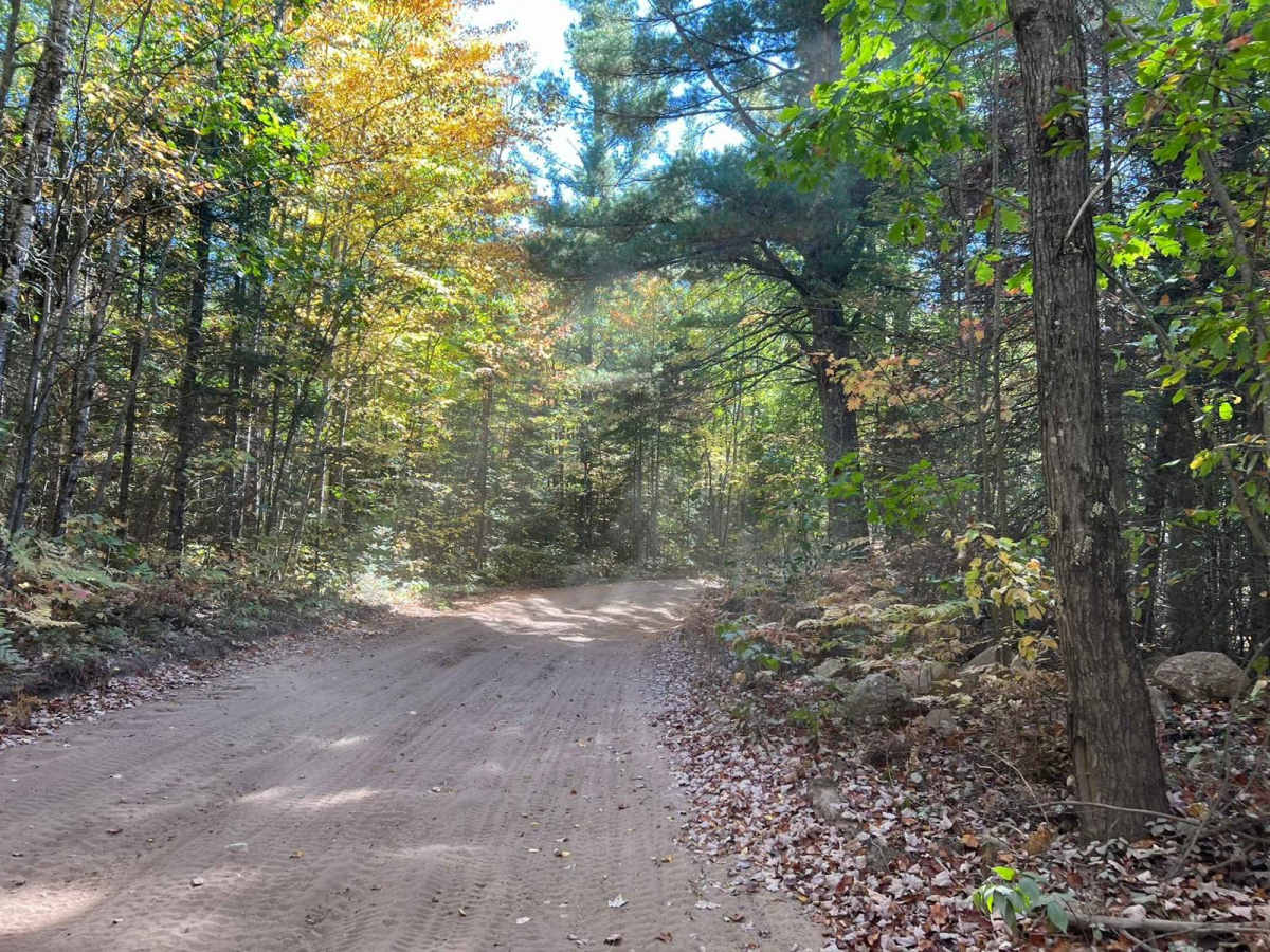 Trail 5- Forest Road 508 photo 5
