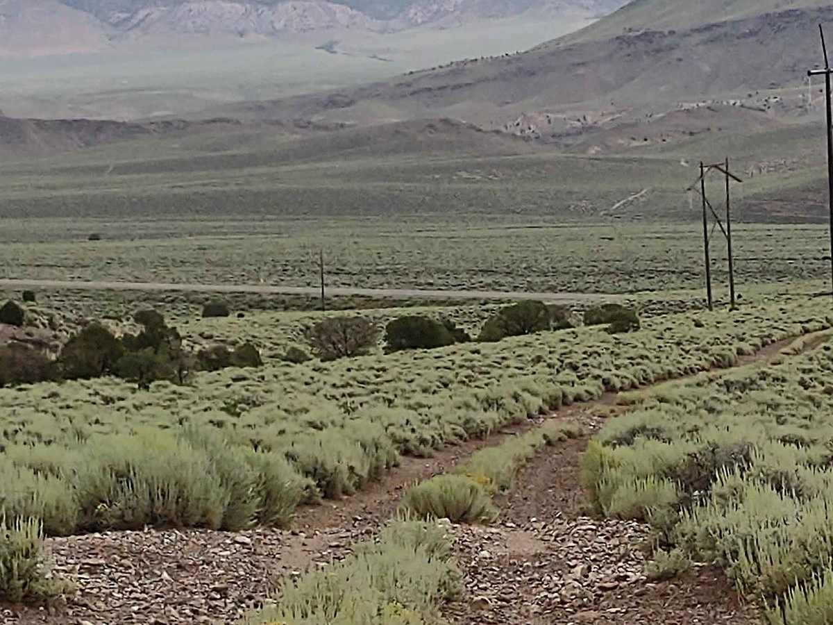 Powerline "Plus" photo 4