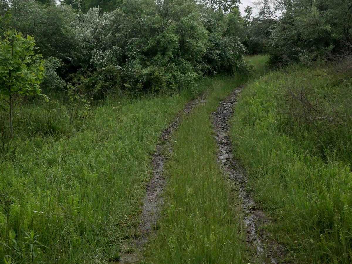 CC11 photo 2