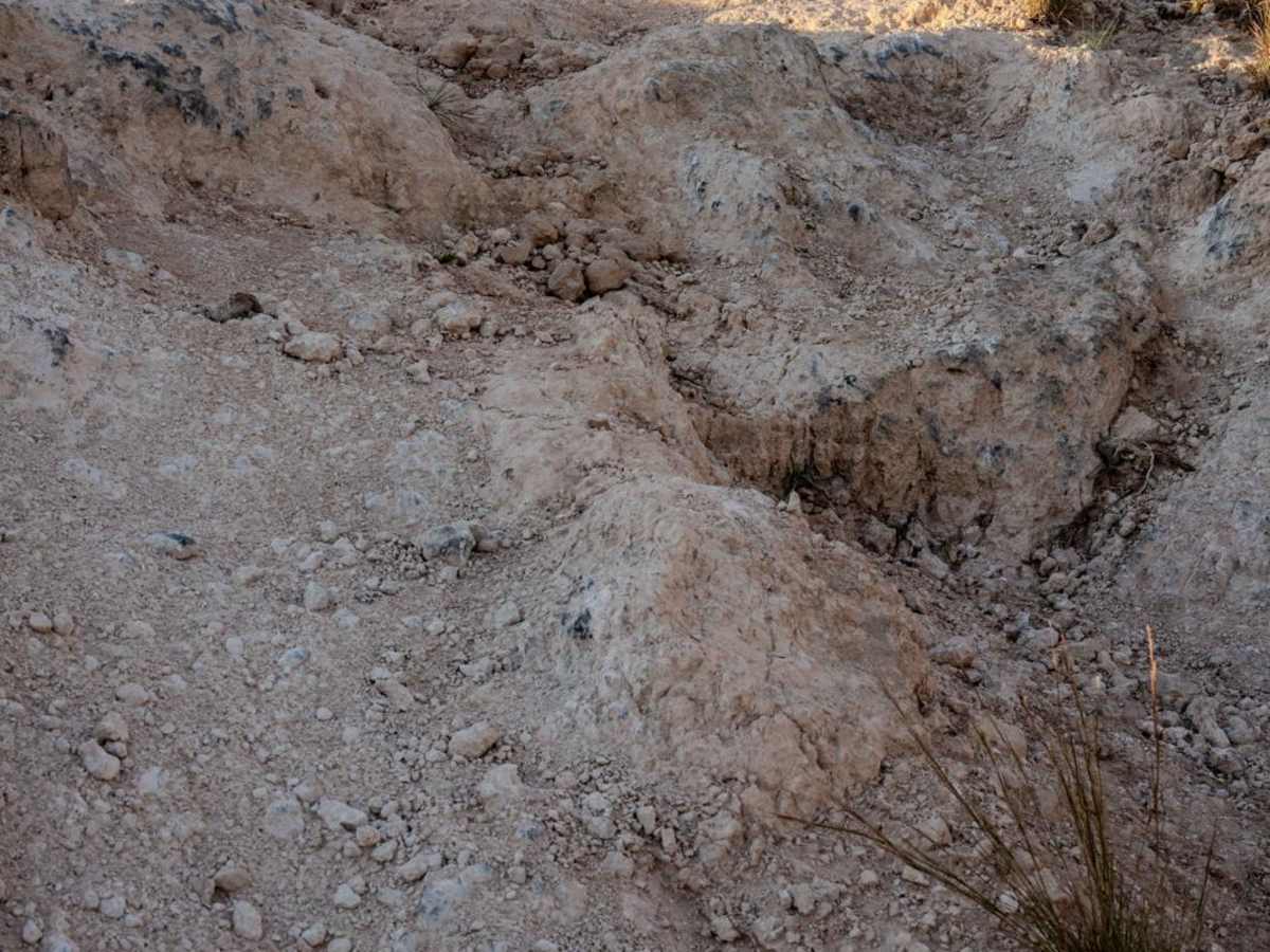 Drop Zone photo 3