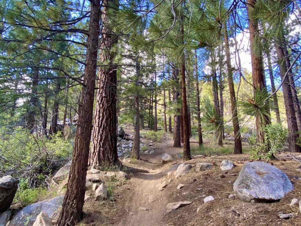 Jackass Creek photo 4