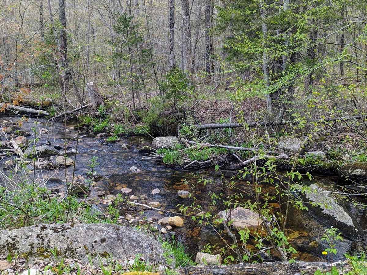 Risky Ranch Road (VT TR 302) photo 4