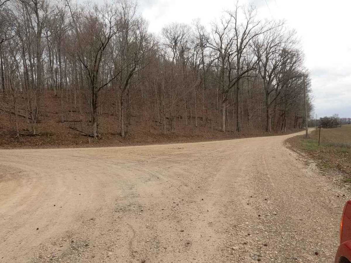 Goose Pond Hills Road photo 3