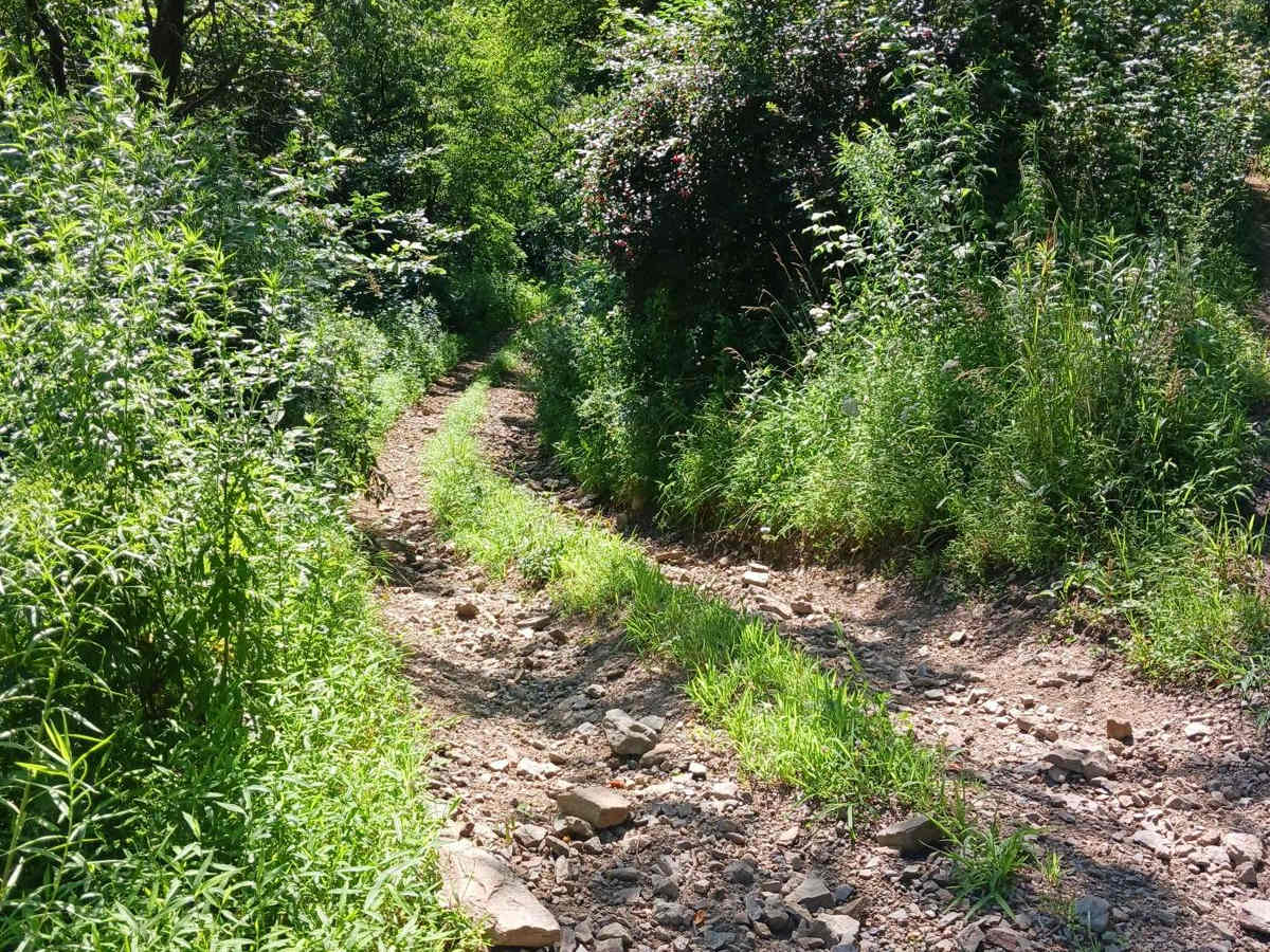 Trail 14C - Rock Run Recreation Area photo 4